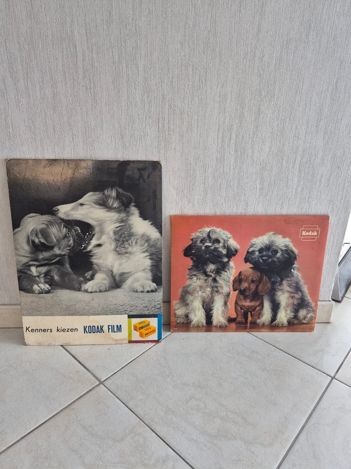 2 reclameborden Kodak honden, Verzamelen, Ophalen of Verzenden