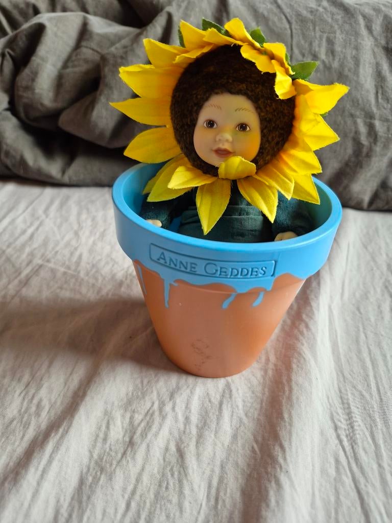 Anne geddes popje in potje goede staat, Ophalen of Verzenden