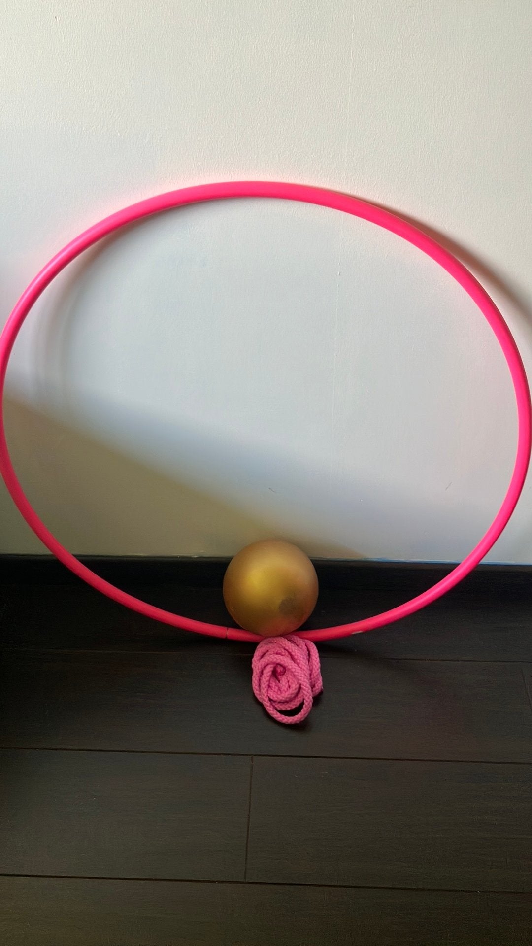 Kit de gym rythmique enfants (cerceau, balle et corde), Enlèvement, Utilisé, Autres types
