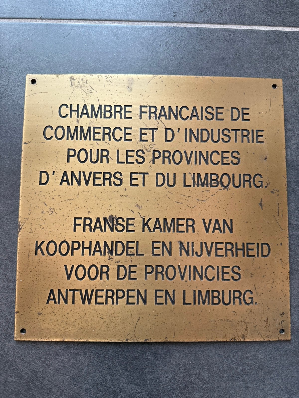 bronzen plakkaat "Franse kamer van koophandel en nijverheid”, Ophalen of Verzenden, Gebruikt, Metaal
