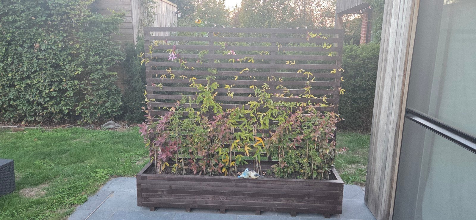 plantenbak met klimrek!, Ophalen, Zo goed als nieuw