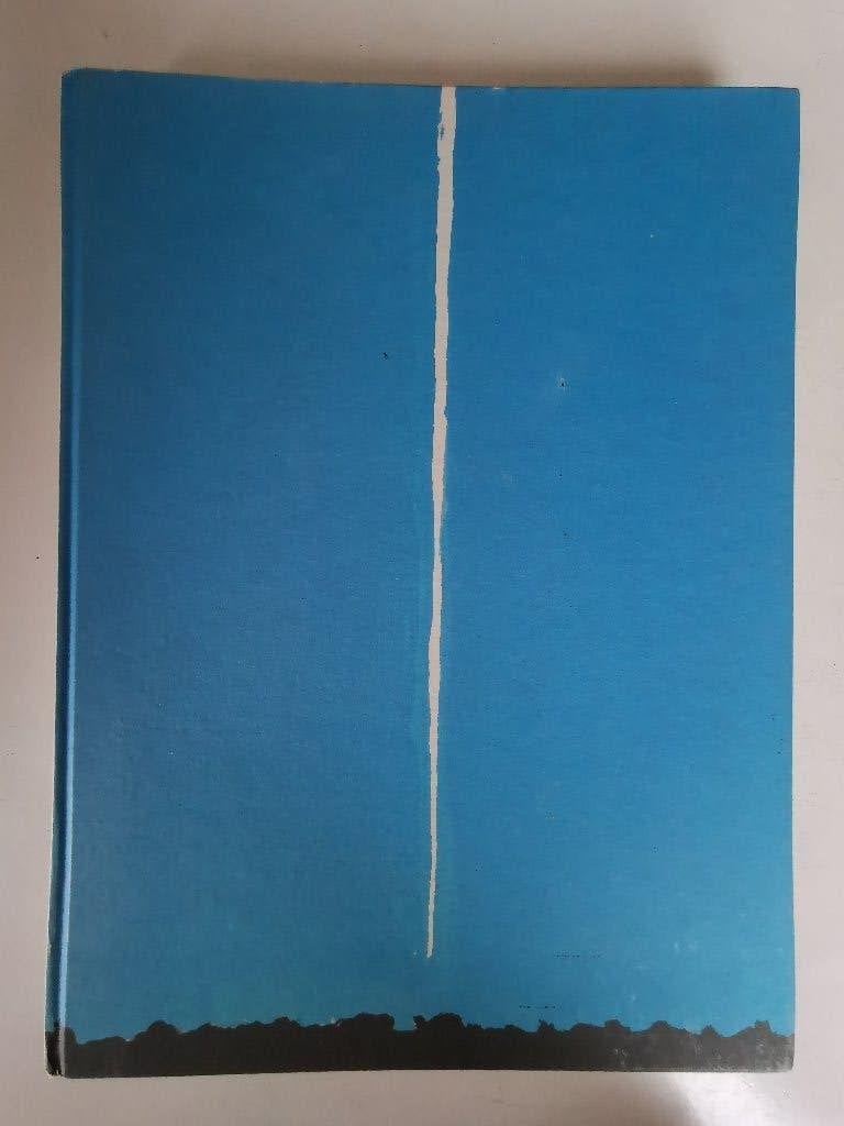 Michiel Hendryckx - Dolen, Livres, Art & Culture | Photographie & Design, Michiel Hendryckx, Enlèvement ou Envoi, Utilisé, Photographes