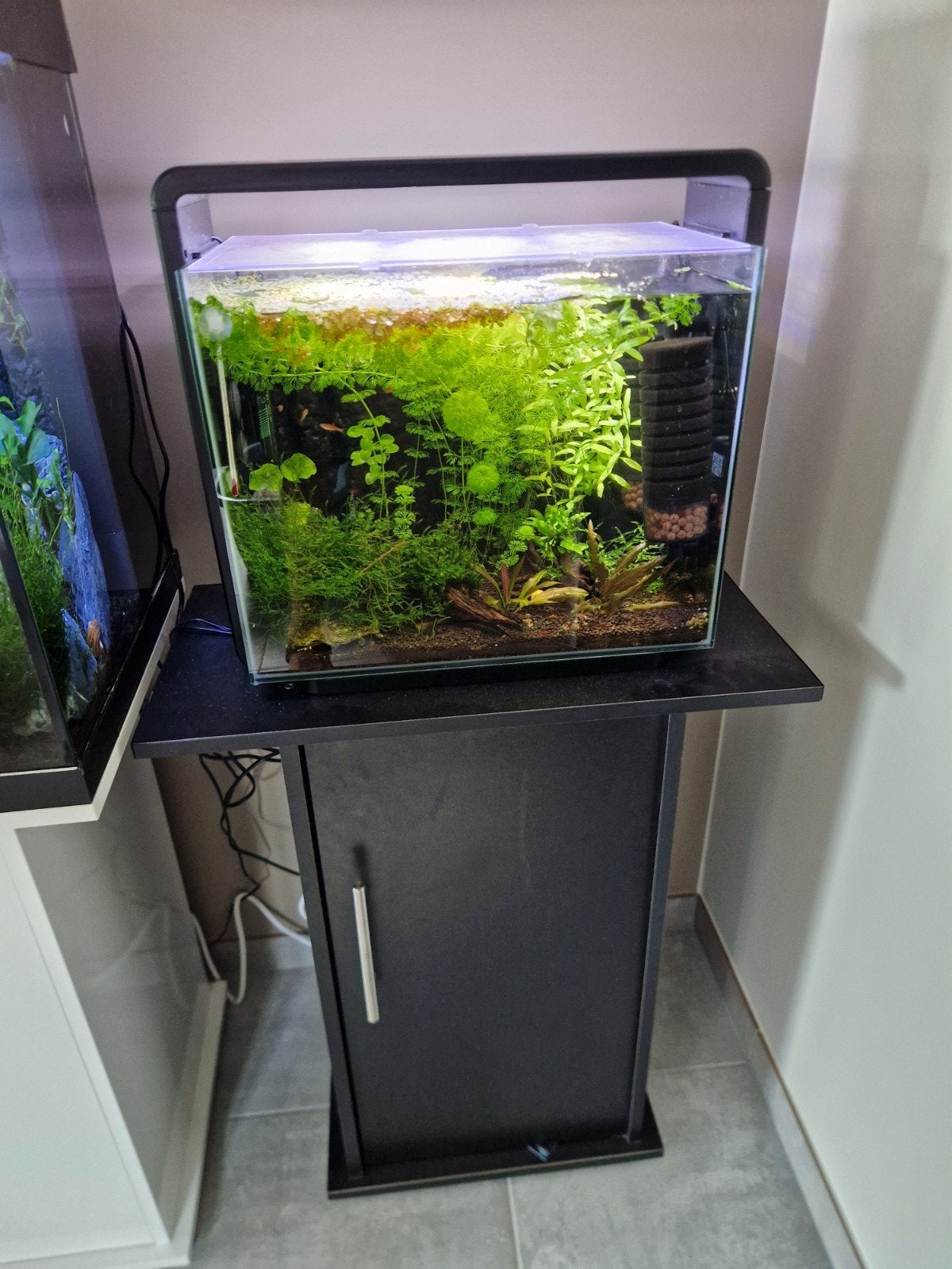 Superfish home 45 aquarium met kast, Aquarium d'eau douce rempli, Comme neuf, Enlèvement, Superfish