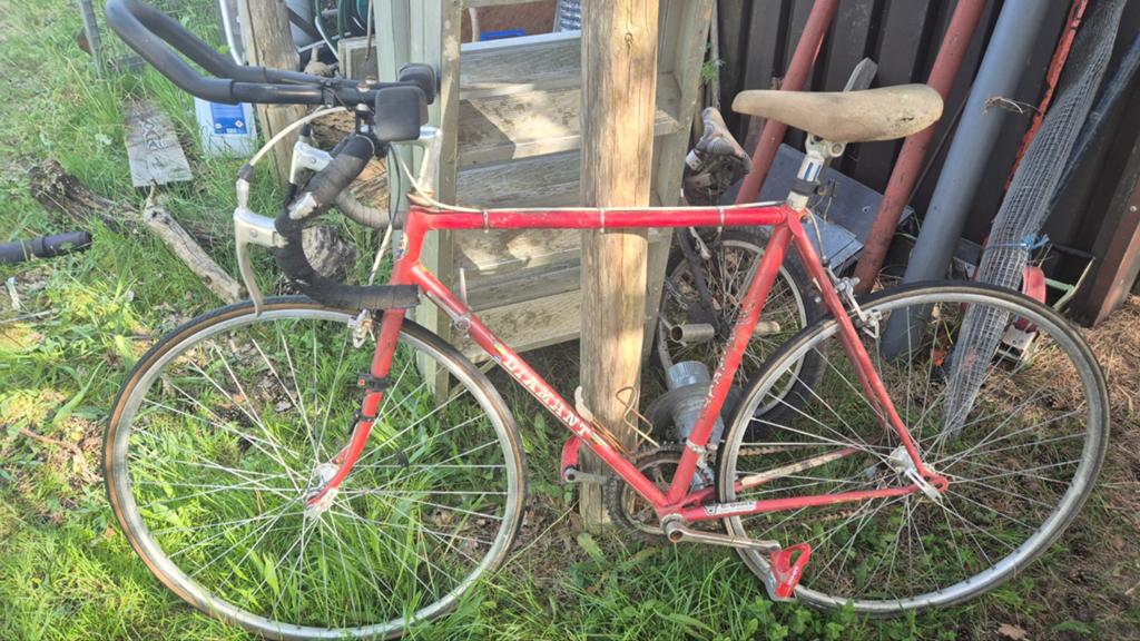Vintage course fiets Diamant, Fietsen en Brommers, Ophalen