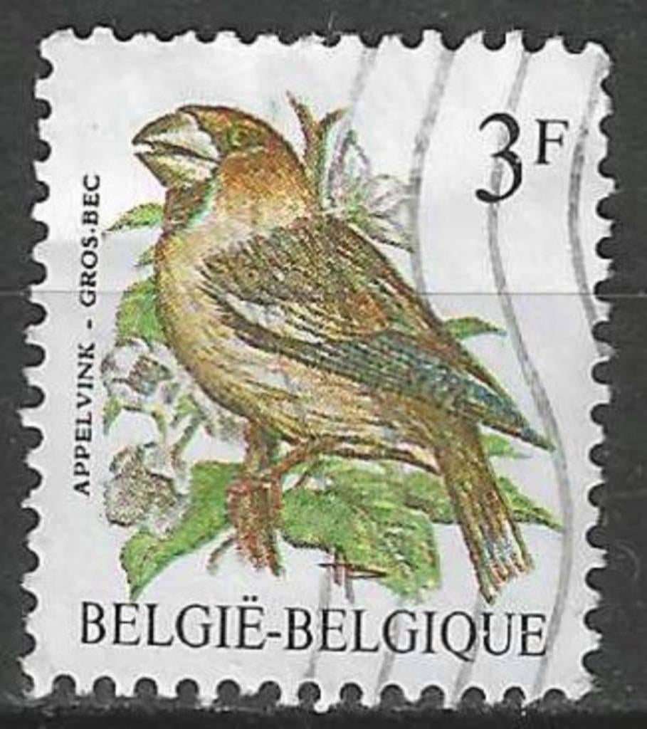 Belgique 1985 - Yvert 2186 /OBP 2189 - Buzin - Hawfinch (ST), Envoi, Affranchi, Oblitéré, Véhicules