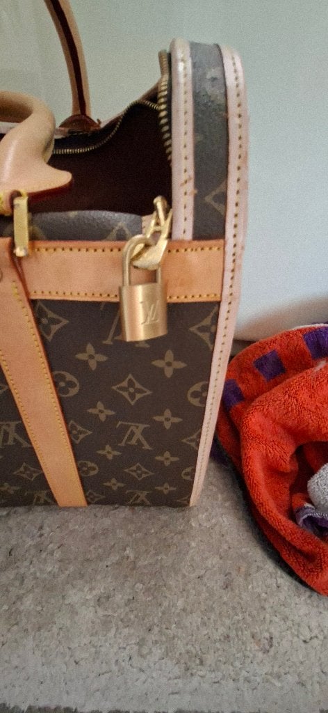 Porte-chien Louis Vuitton, Bijoux, Sacs & Beauté, Sacs | Sacs Femme, Enlèvement, Utilisé, Beige, Autres types