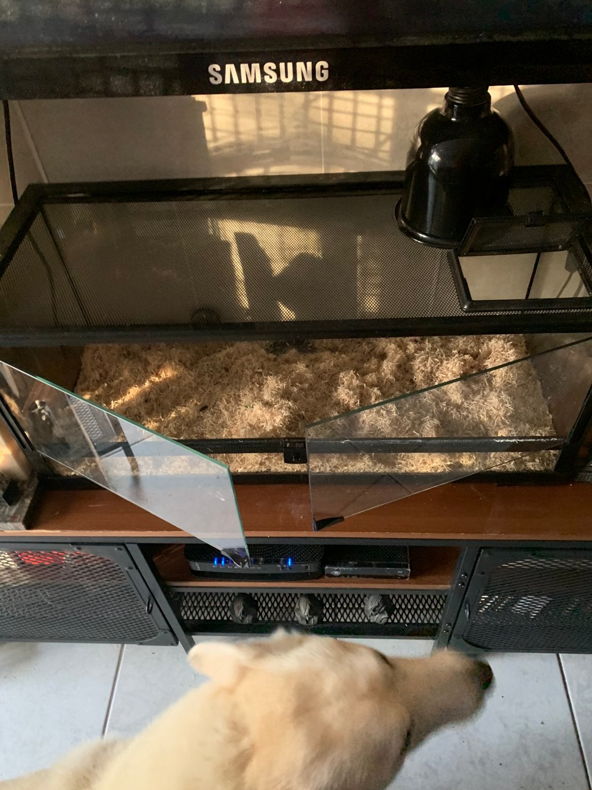 Terrarium, Dieren en Toebehoren, Ophalen