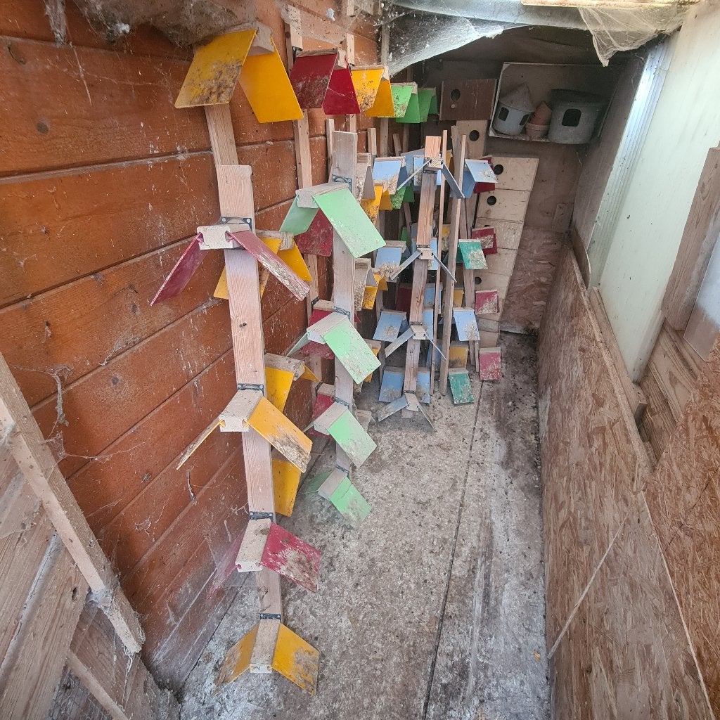 Accessoires pour pigeons, Animaux & Accessoires, Enlèvement, Utilisé