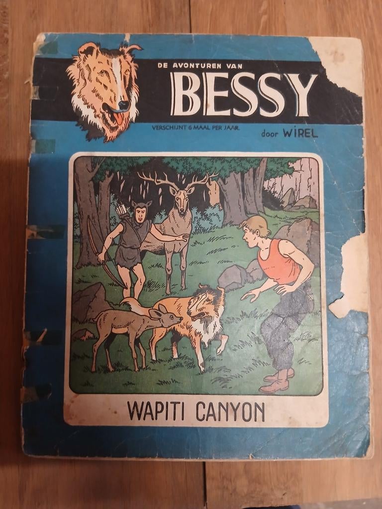 Bessy, wapiti canyon, Boeken, Ophalen of Verzenden
