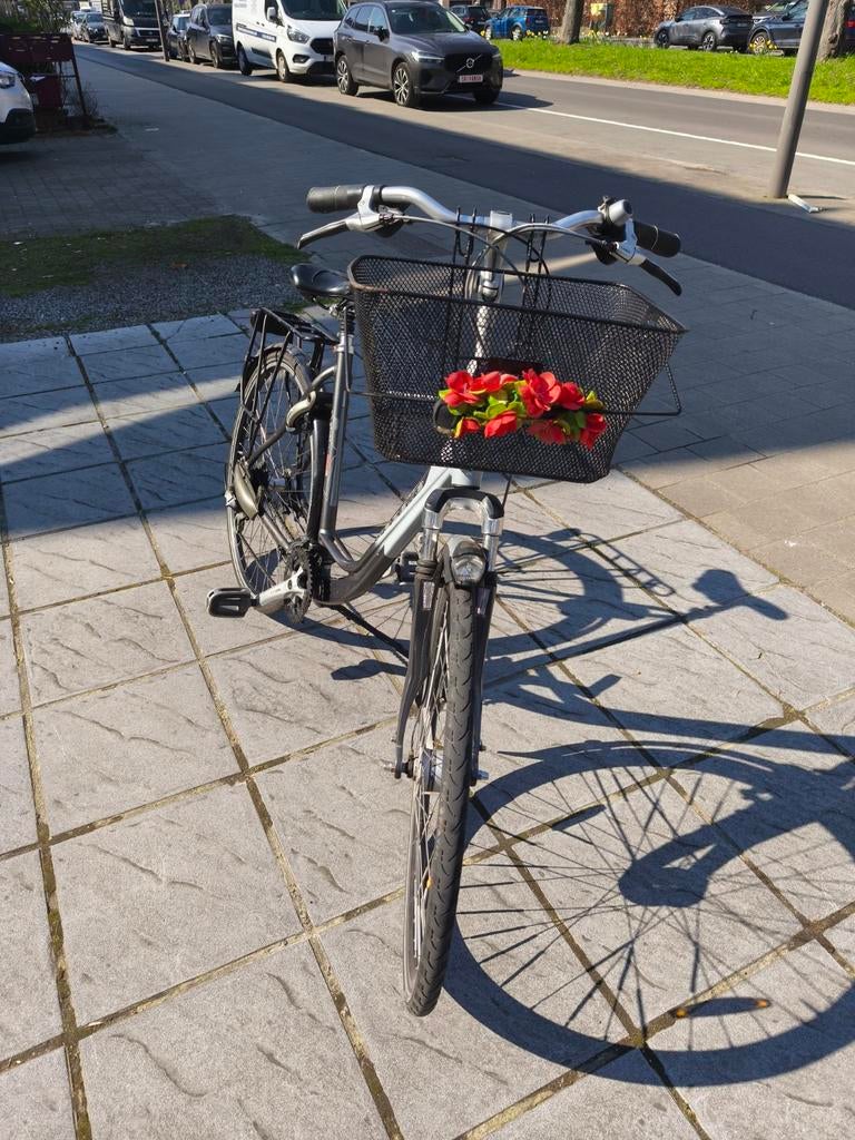 Gazelle fiets, Fietsen en Brommers, Ophalen of Verzenden