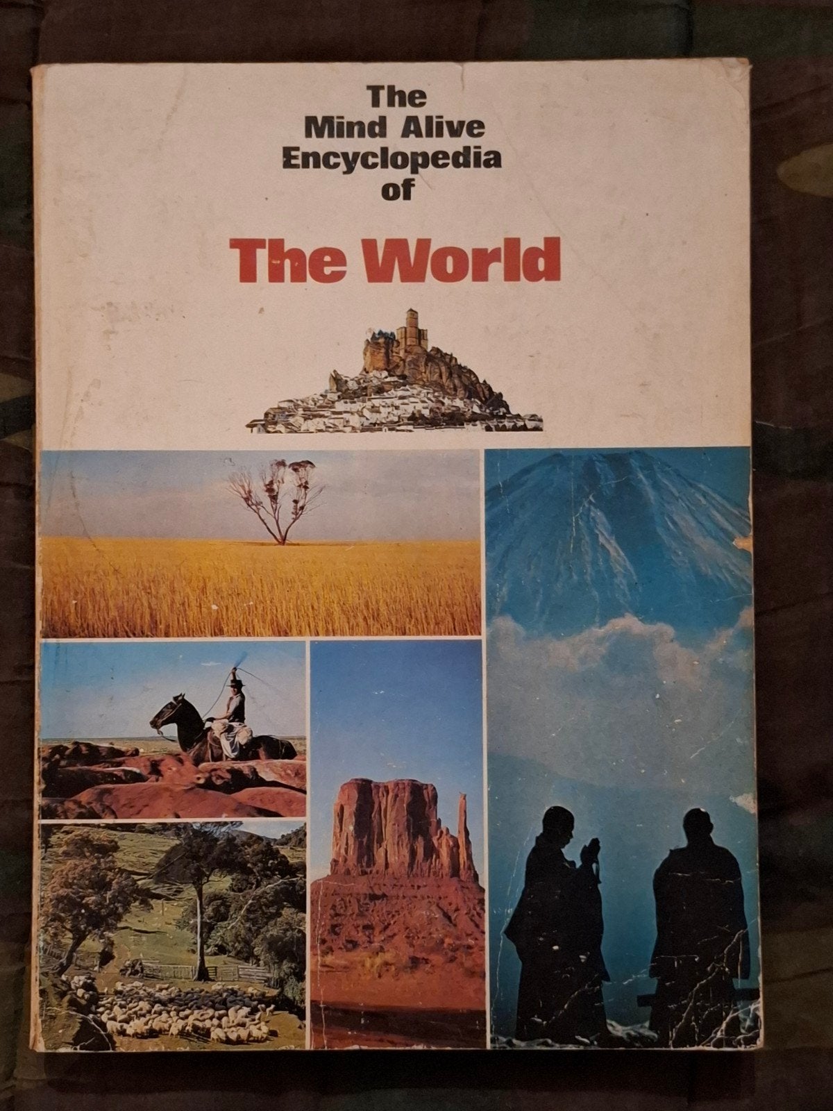 Encyclopédie du monde, Livres, Encyclopédies, Enlèvement ou Envoi, Tome à part, Général, Utilisé
