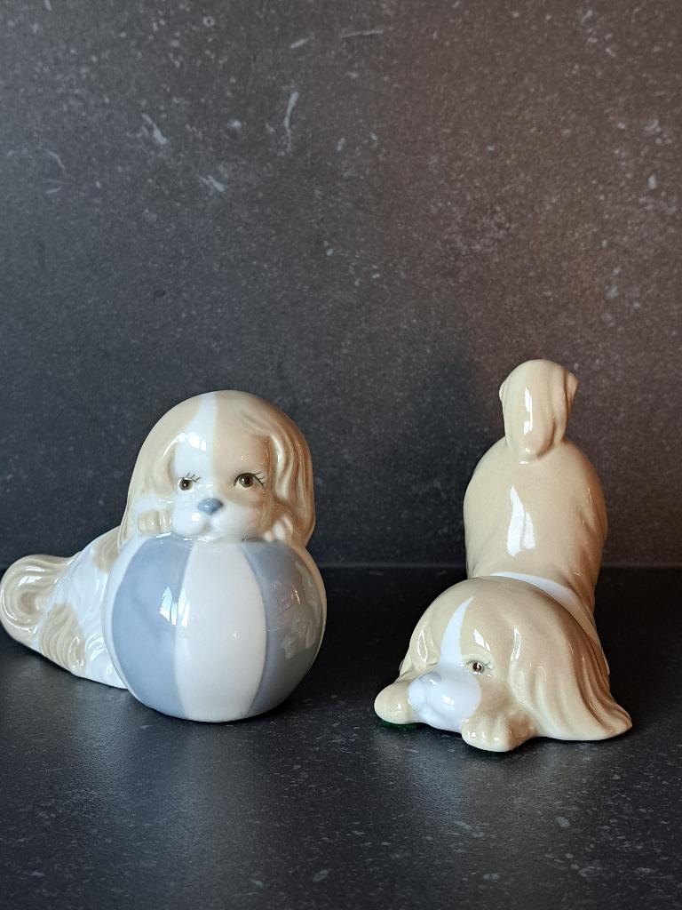 Chiot maltais - Porcelanas Miquel Requena, Collections, Statues & Figurines, Comme neuf, Animal, Enlèvement ou Envoi