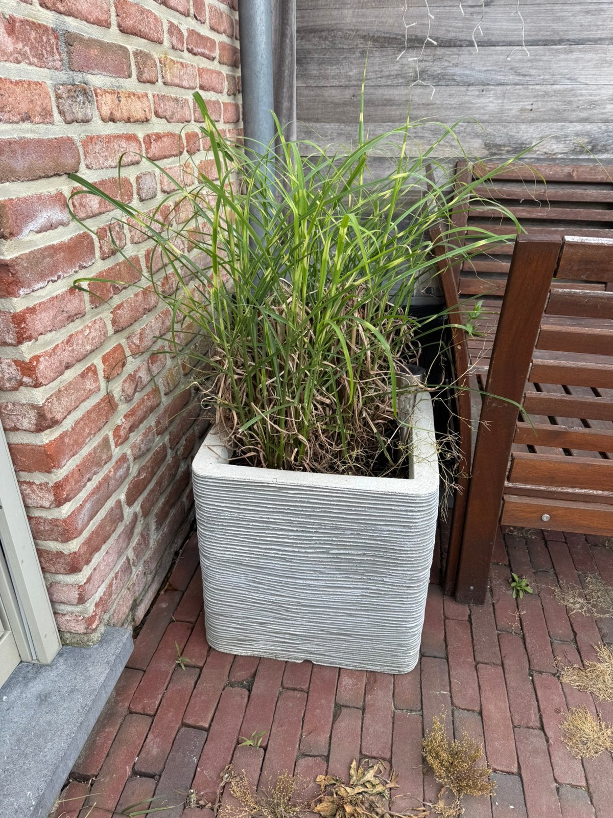 Witte bloempot met siergras, Ophalen, Zo goed als nieuw