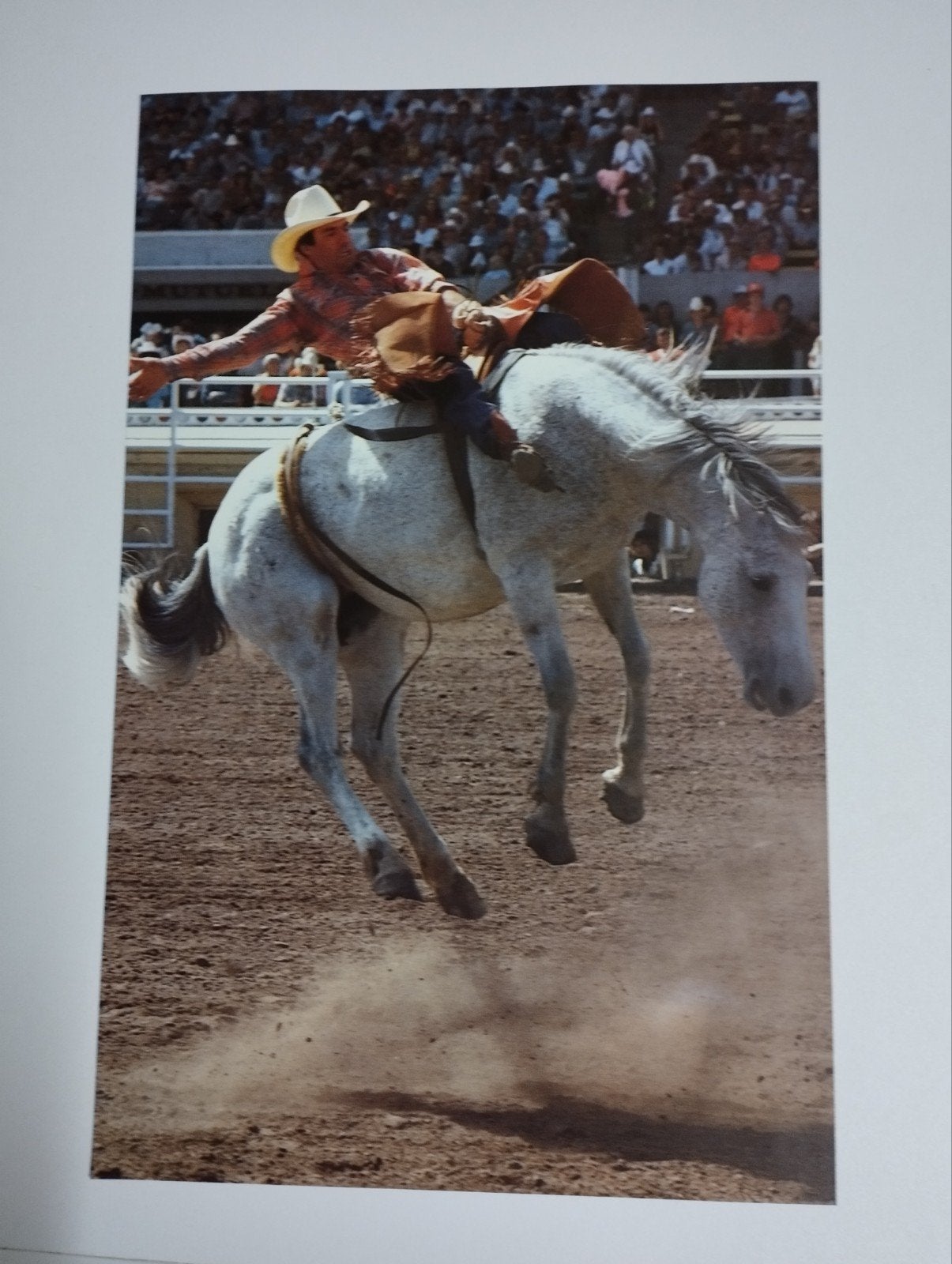 Een prent over een cowboy die wild paard berijdt kleur versc, Ophalen, Prent