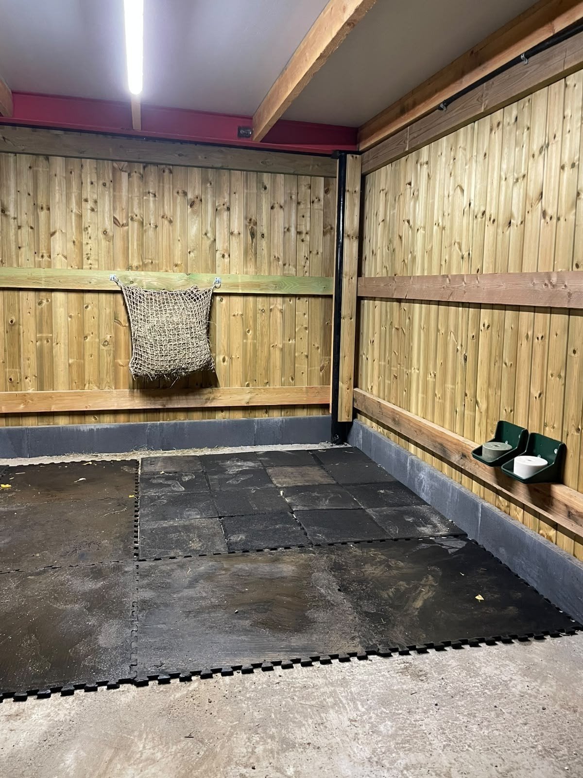 paddock paradise - weide - strijtem (Roosdaal)