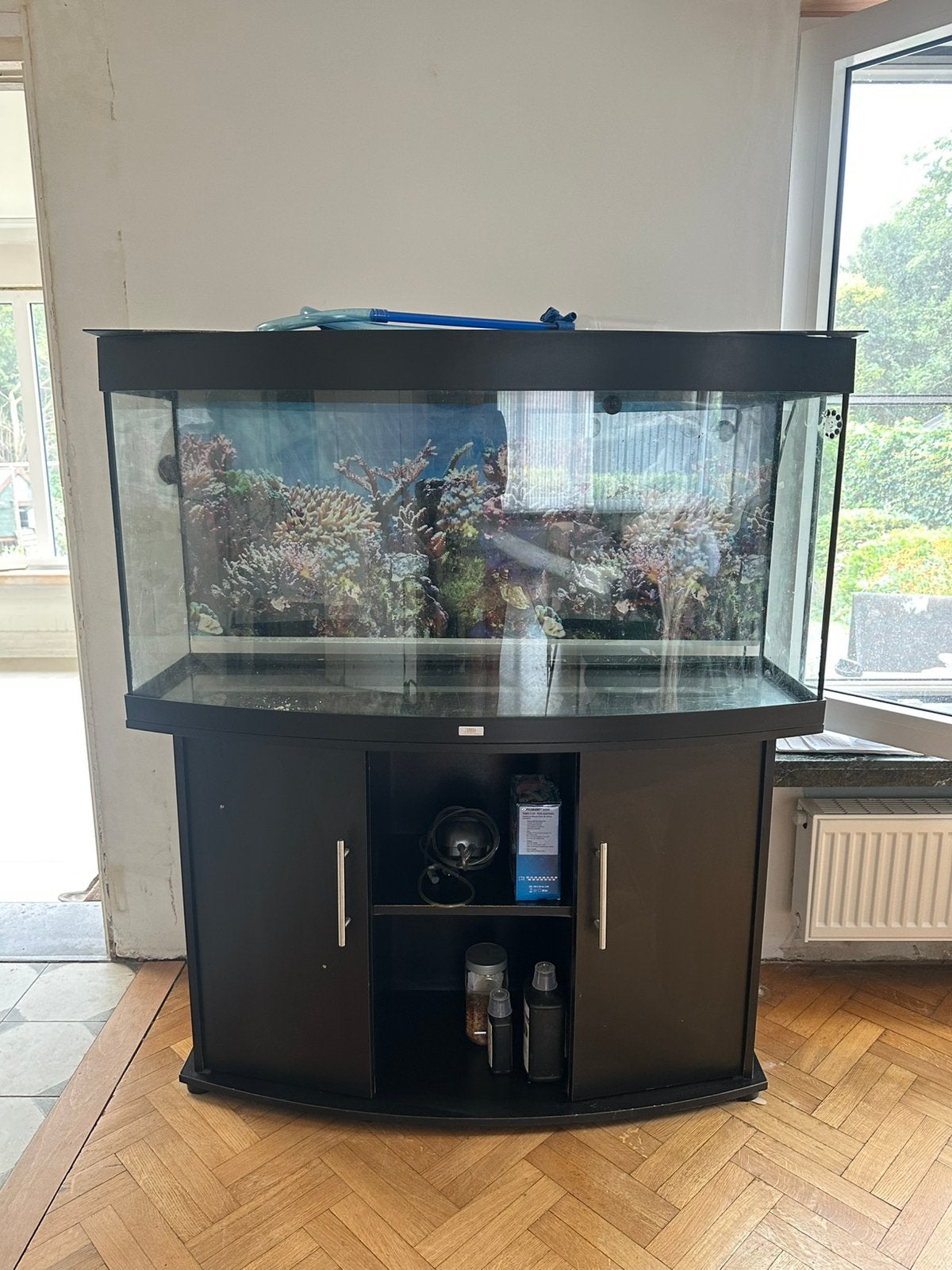 Juwel vision 260 aquarium + kast, Dieren en Toebehoren, Ophalen, Juwel, Verwarming, Gevuld zoetwateraquarium