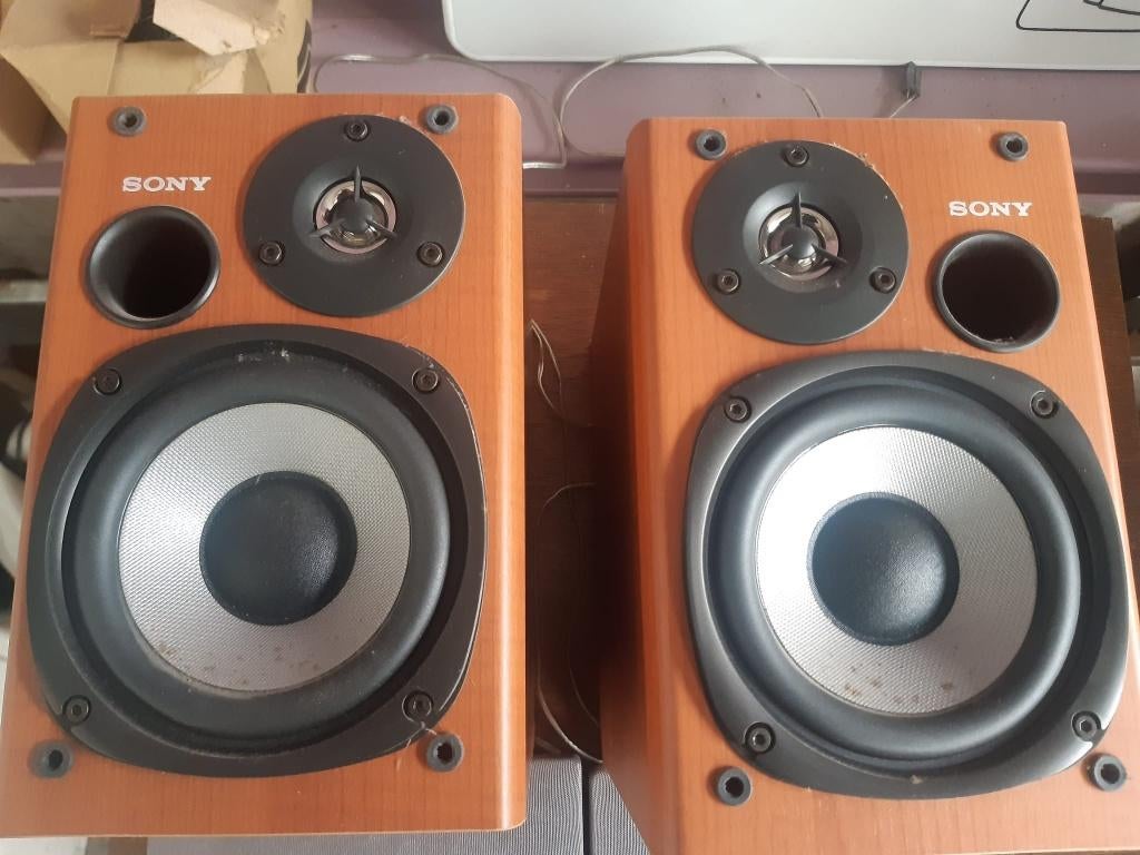 boxen sony, Audio, Tv en Foto, Luidsprekerboxen, Ophalen, Gebruikt, Overige typen, Sony
