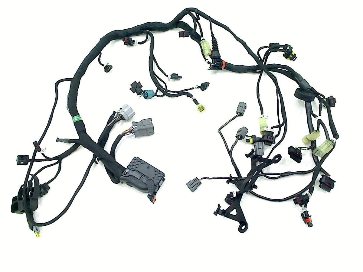 FAISCEAU DE CÂBLAGE MOTEUR Ducati (5101M311A), Dhr. S. di Majo, Utilisé, Info@cama-motorparts.nl, P.J. Troelstraweg 8 8
3144 CX  MAASSLUIS, NL