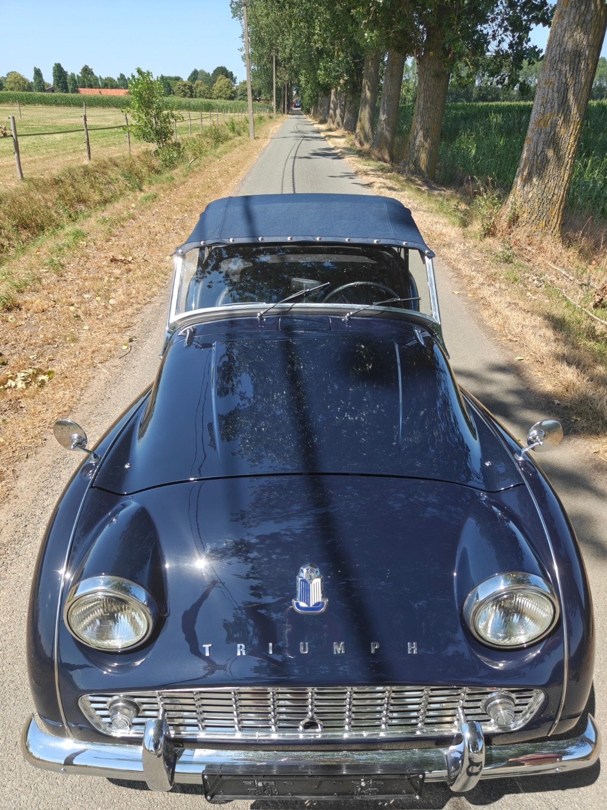 Triumph tr3, foto 7