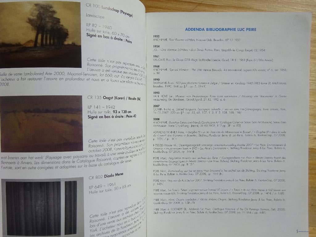 Luc Peire, bulletin 7 - juli 2009, Enlèvement ou Envoi, Comme neuf, Peinture et dessin