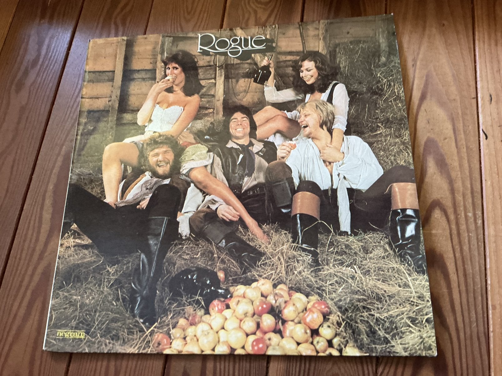 LP Rogue - Rogue, Enlèvement ou Envoi, Utilisé, LP