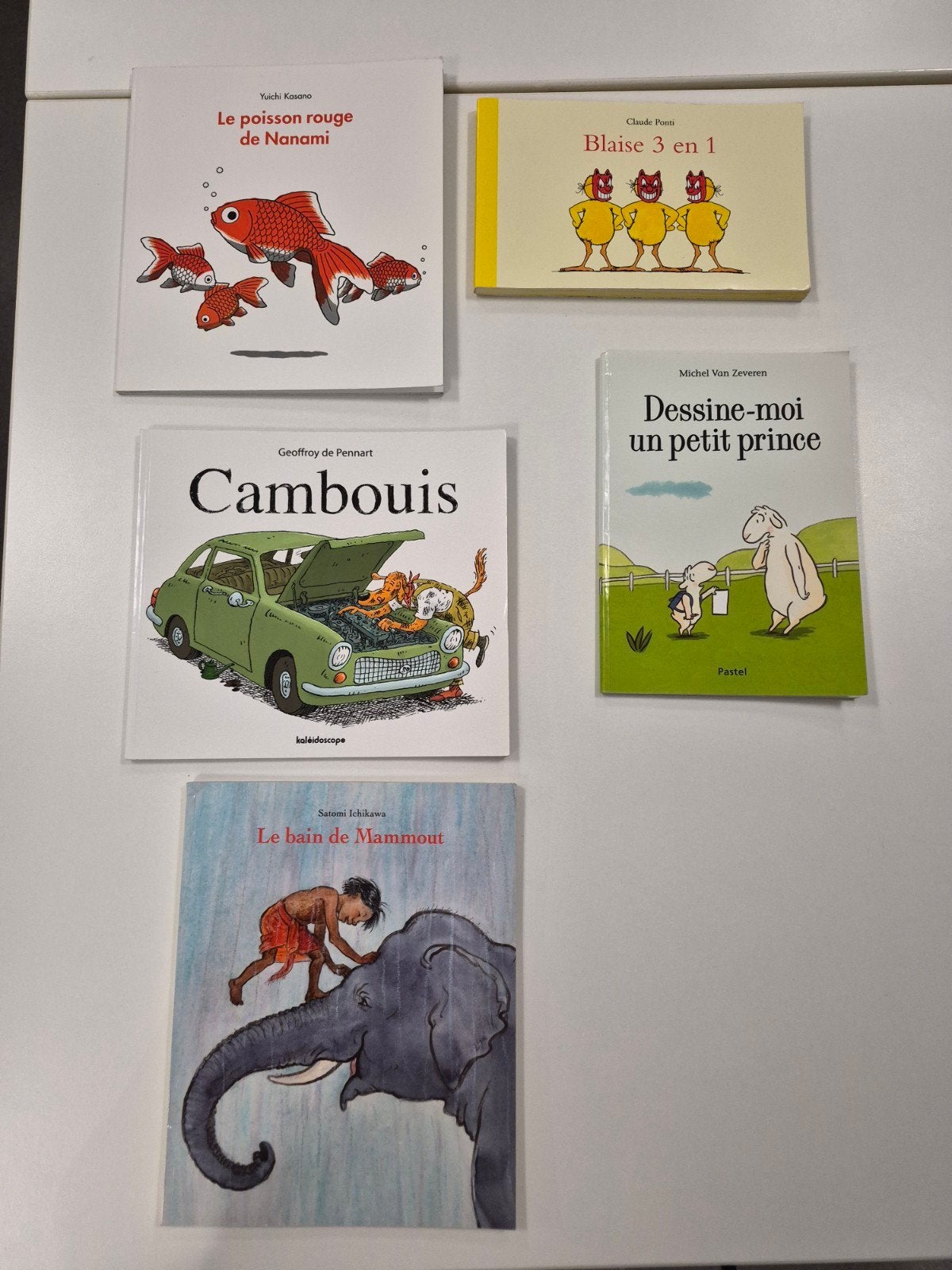 5 livres de l'école des max, Enlèvement ou Envoi, Utilisé, École des loisirs