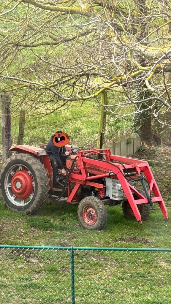Massey Ferguson 165, Zakelijke goederen, Landbouw | Tractoren, Ophalen, Oldtimer, Tot 80 Pk, Massey Ferguson
