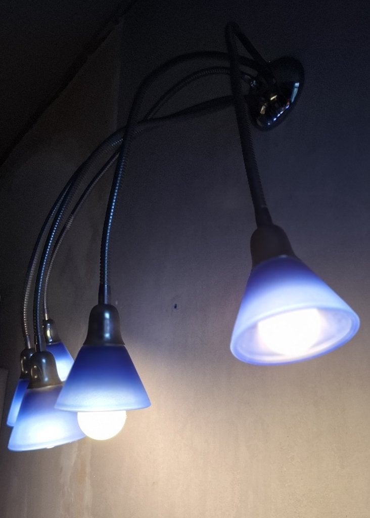 Plantlicht of plafondlamp, Blauw, Gebruikt, Ophalen of Verzenden, Plafondlamp