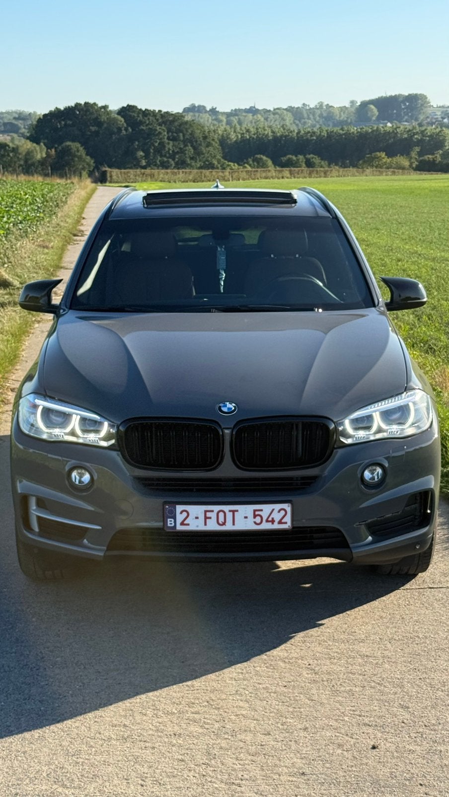 Bmw x5 25d xdrive, Automaat, Euro 5, X5, Leder