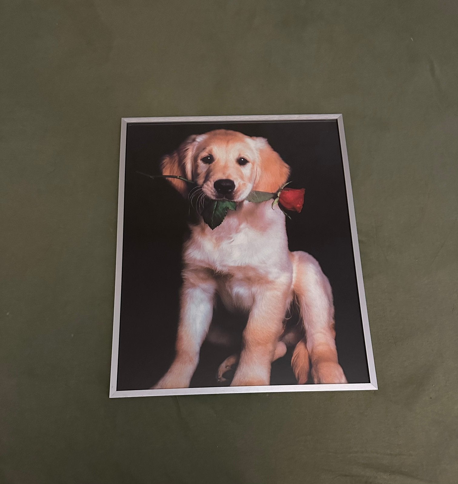 Chien avec cadre en rose, Autres styles, Objet de décoration, Multicolore, Encadré