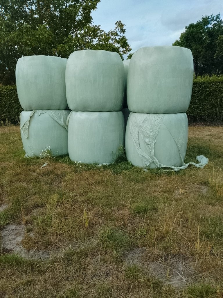droog hooi, Enlèvement