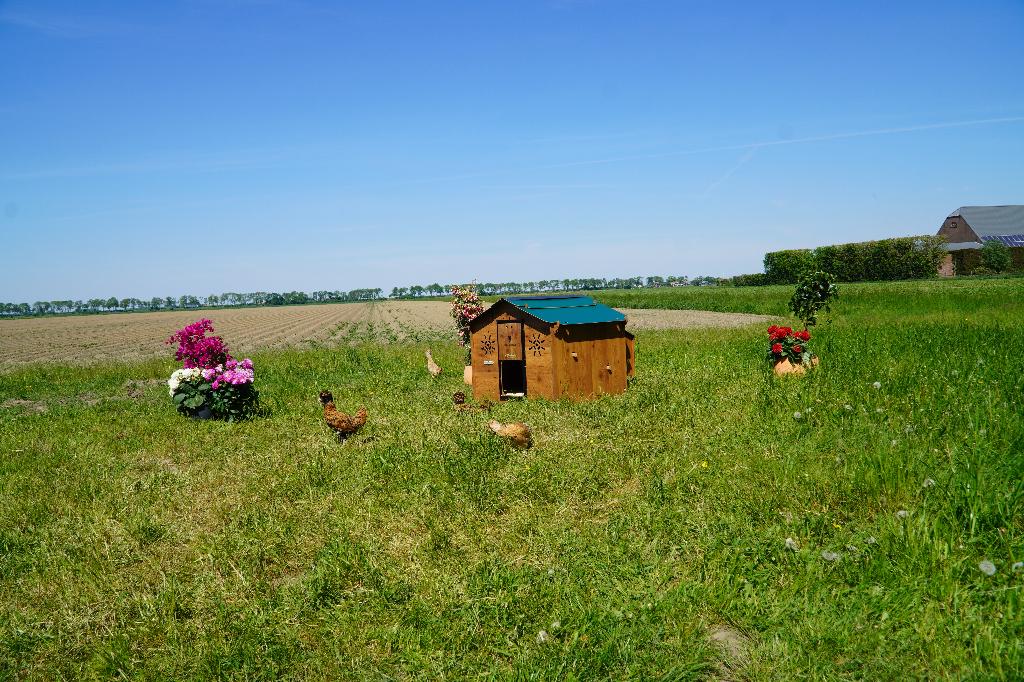 Trespa Kippenhok Cucciolotta | Chalet L, Dieren en Toebehoren, Pluimvee | Toebehoren, Ophalen of Verzenden, Nieuw, Kippenhok of Kippenren