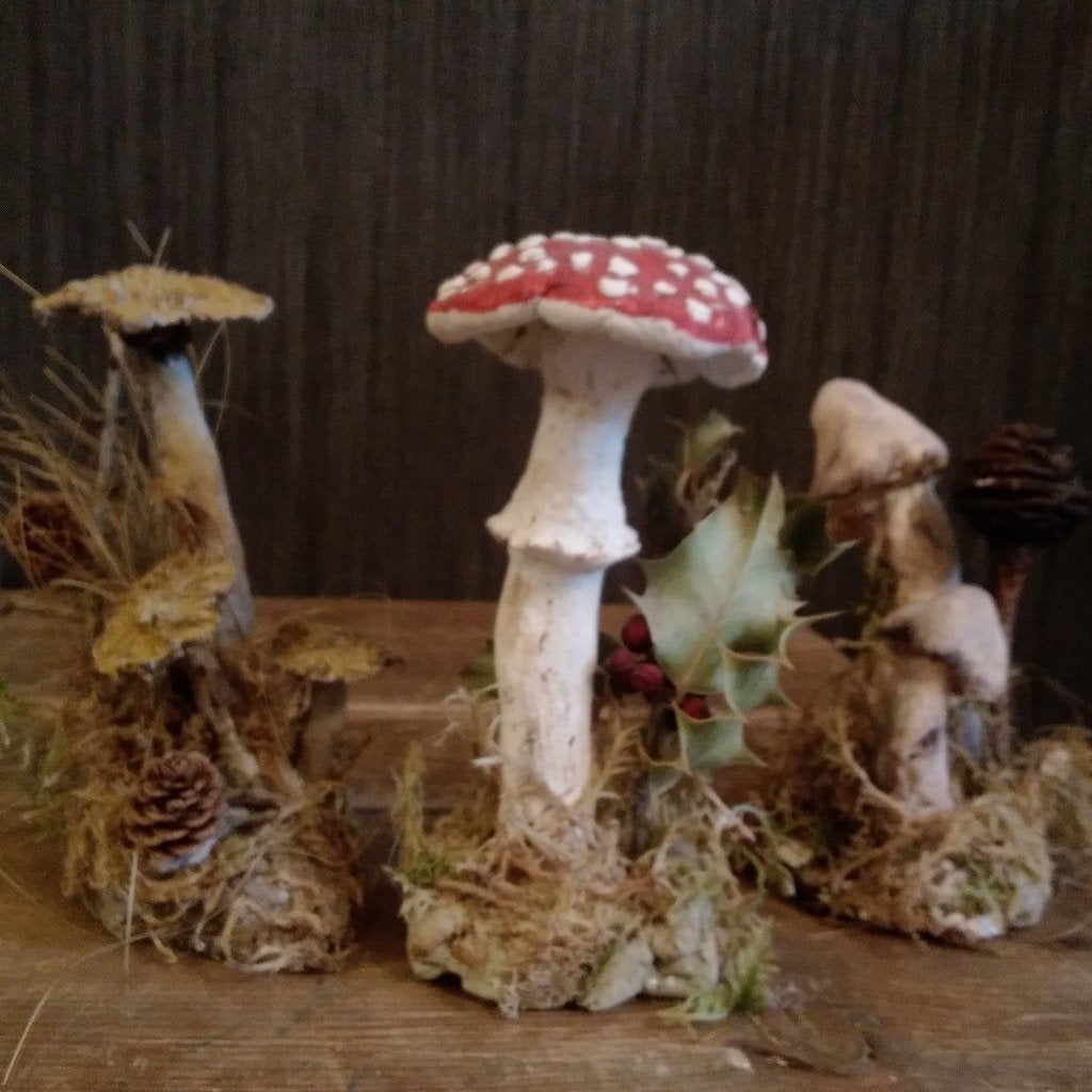 Prachtige set van 3 grote botanische paddenstoelen, Verzenden