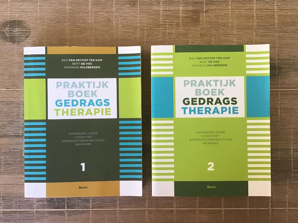 Praktijkboek Gedragstherapie deel 1 + 2, Boeken, Ophalen of Verzenden, Gelezen