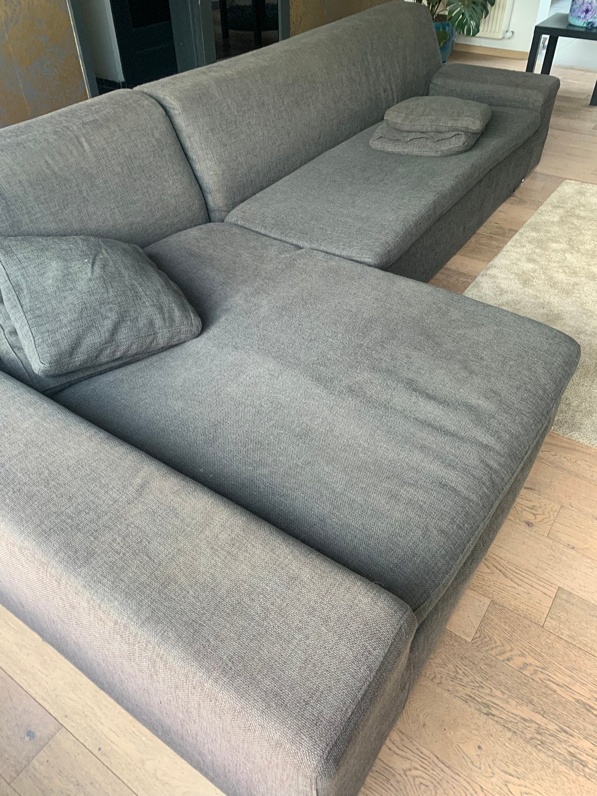 Hoekzetel grijs, 150 cm ou plus, 300 cm ou plus, Quatre personnes ou plus, Enlèvement
