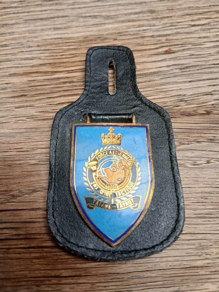 Breloque 2 wing tac variante défense bleu., Collections, Objets militaires | Général, Envoi, Armée de l'air, Emblème ou Badge