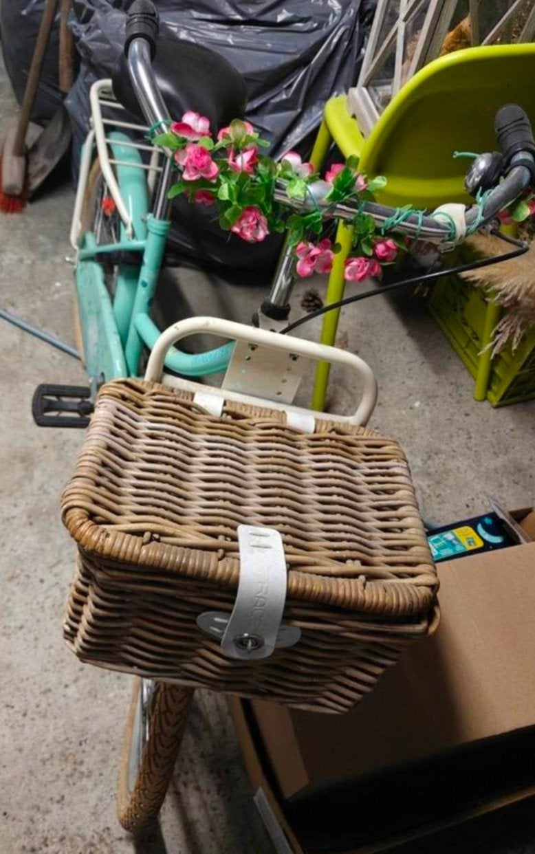 Vélo Vogue pour filles, Enlèvement