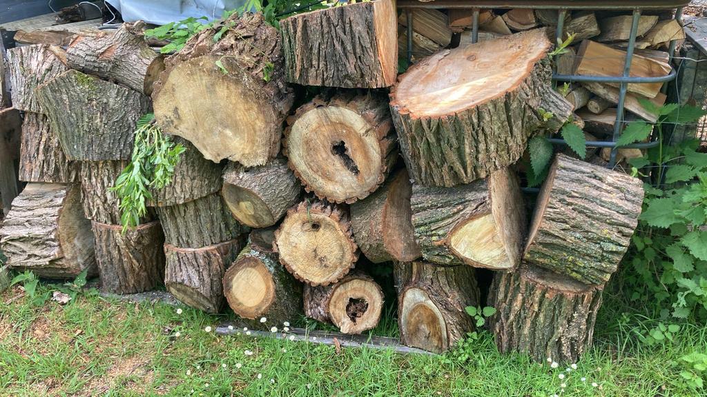 1 kuub brandhout van wilg, Tuin en Terras, Brandhout, Ophalen