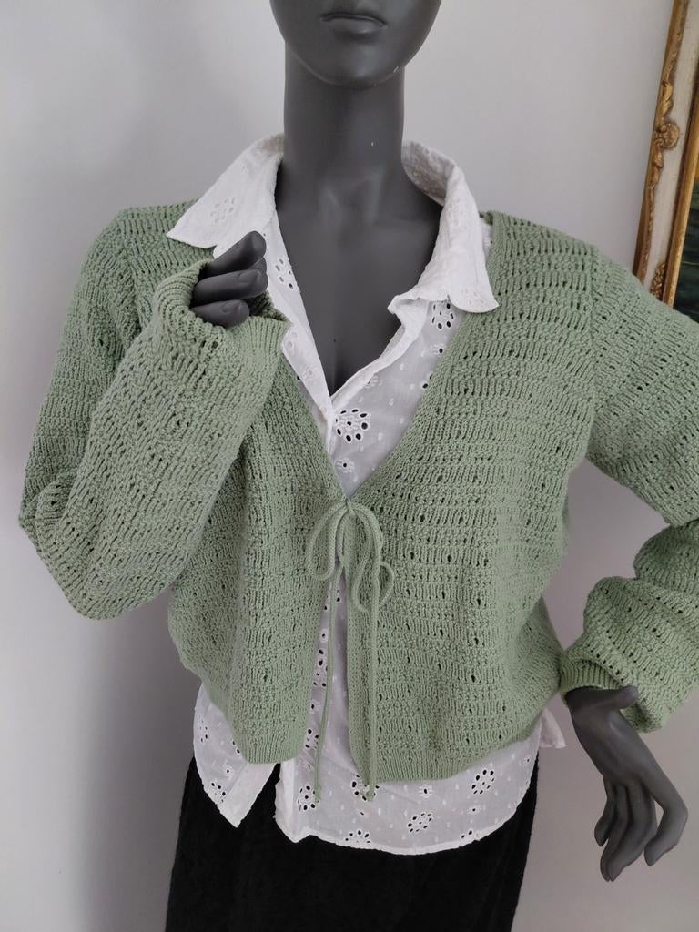Versia prachtige vest xl, Ophalen
