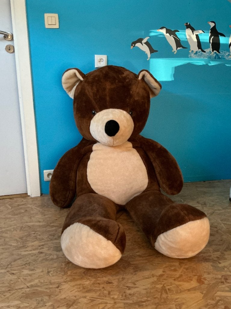 Ours en peluche de grande taille, Enlèvement, Comme neuf, Ours, Grand (plus de 80 cm)