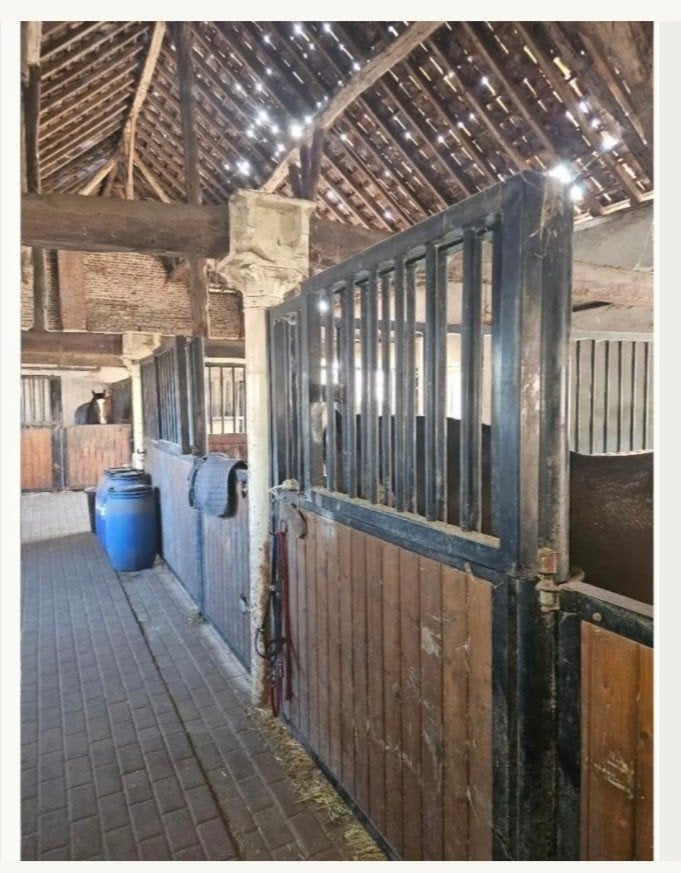 écurie au Meerdaalwoud en pension complète (dernière place), Animaux & Accessoires, M