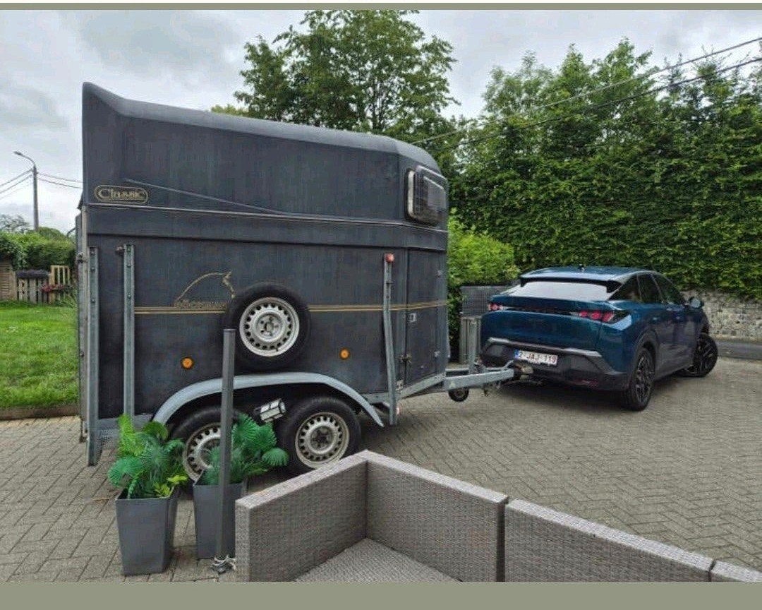 PaardenTrailer 2 paarden boeckmann, Ophalen, Gebruikt, Polyester, 2-paards trailer