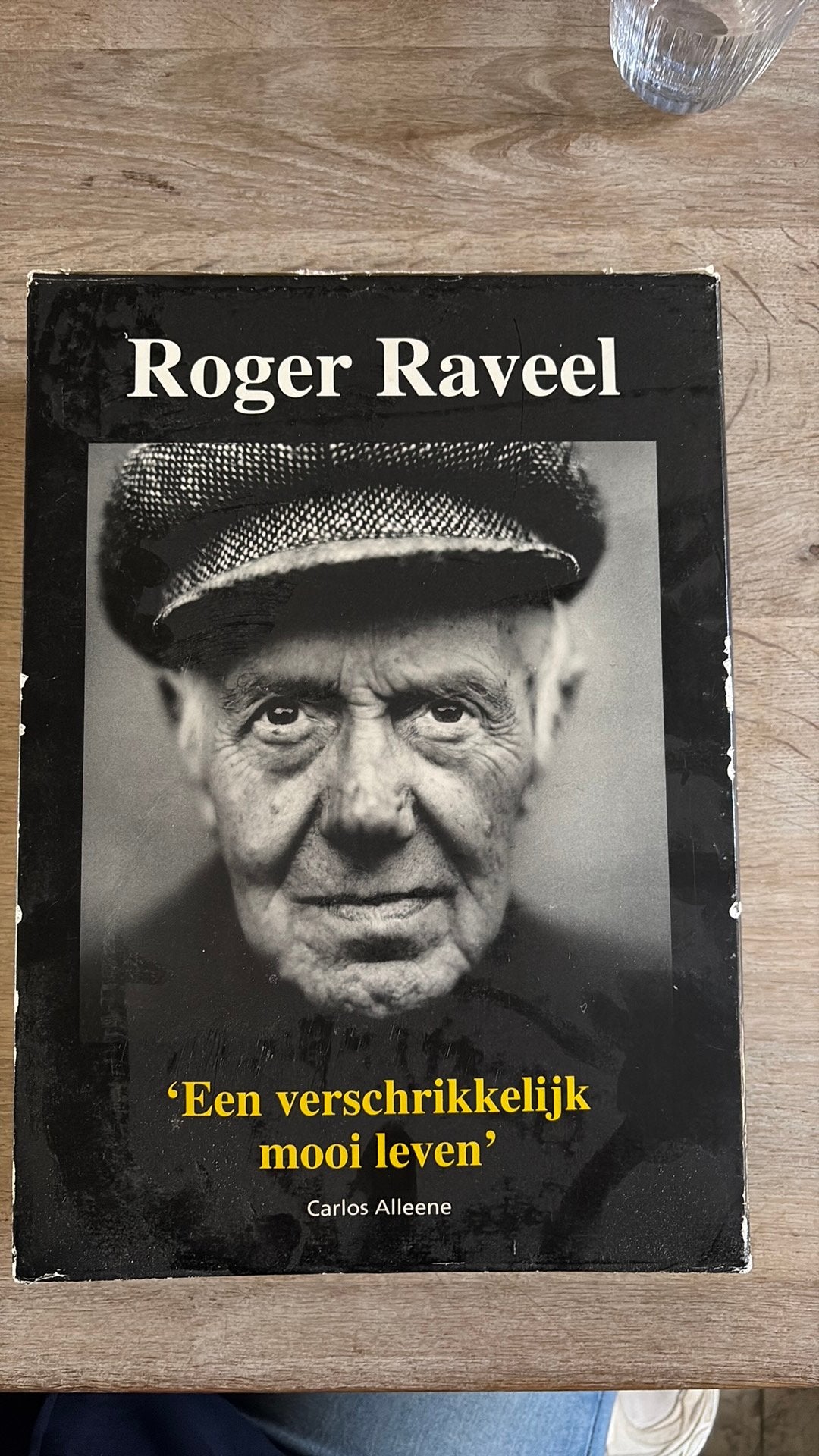 Roger Raveel – Een verschrikkelijk mooi leven, Ophalen of Verzenden, Gelezen
