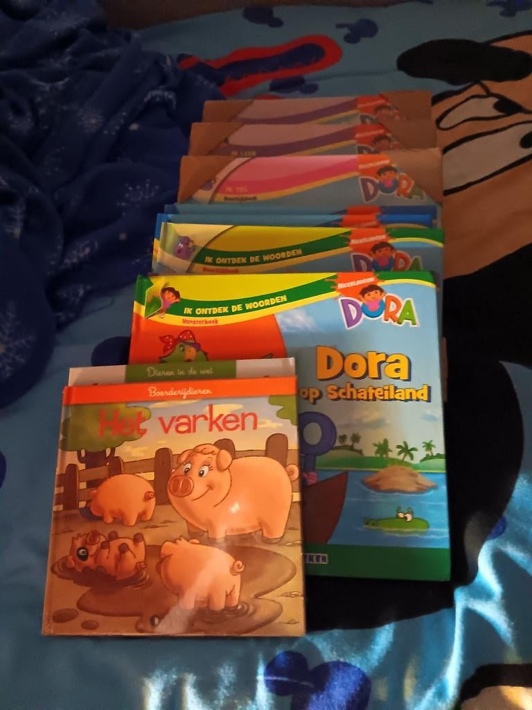 Lees boekjes van Dora .nog verpakt20eu voor alles, CD & DVD, Vinyles | Compilations, Enlèvement