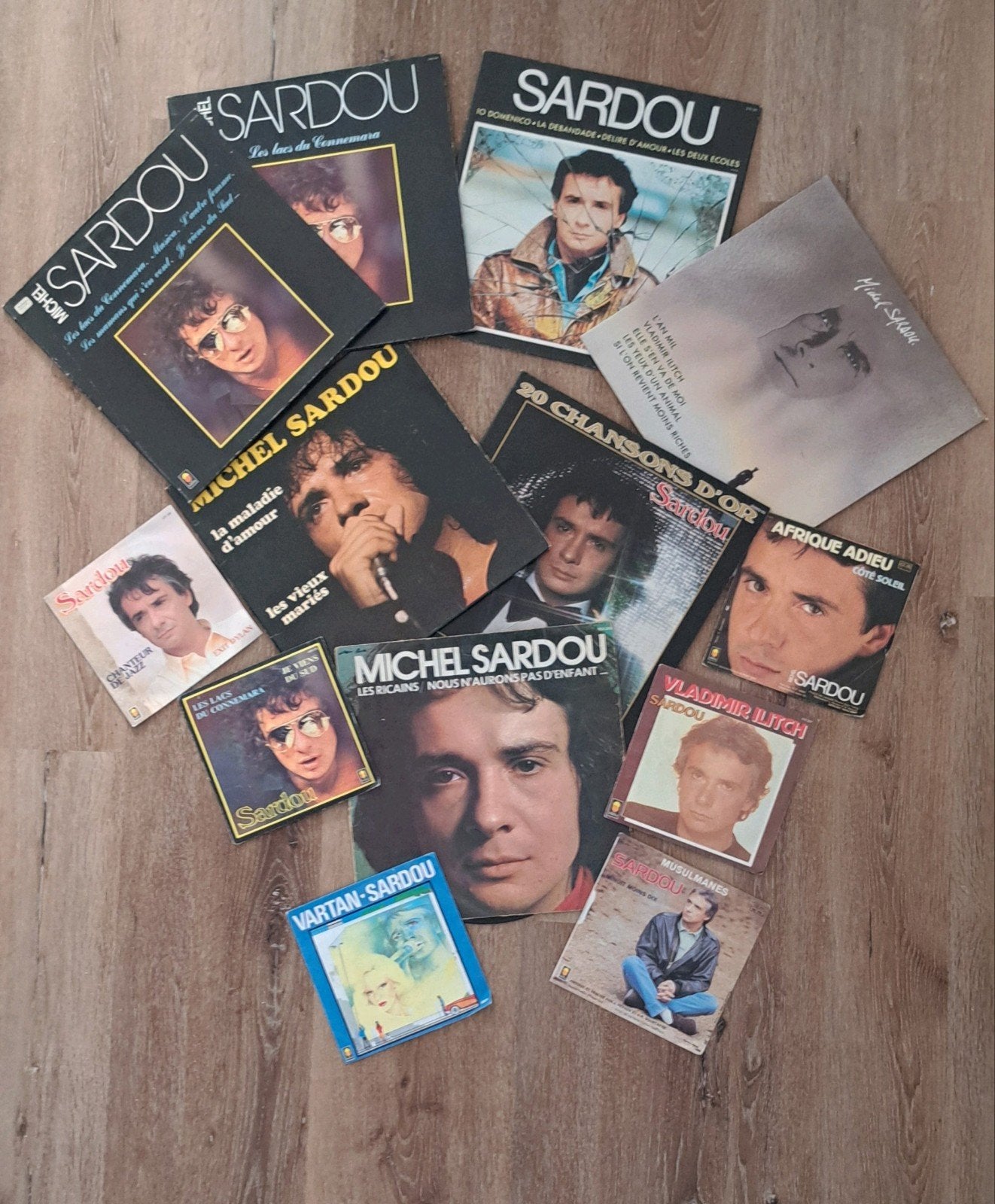 lots de disques de Michel Sardou, Enlèvement