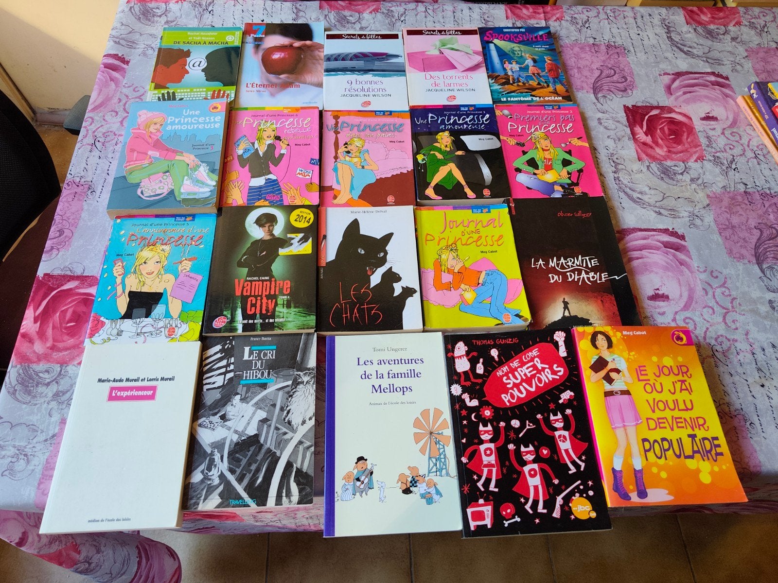 Lot de 40 livres pour adolescents, Enlèvement