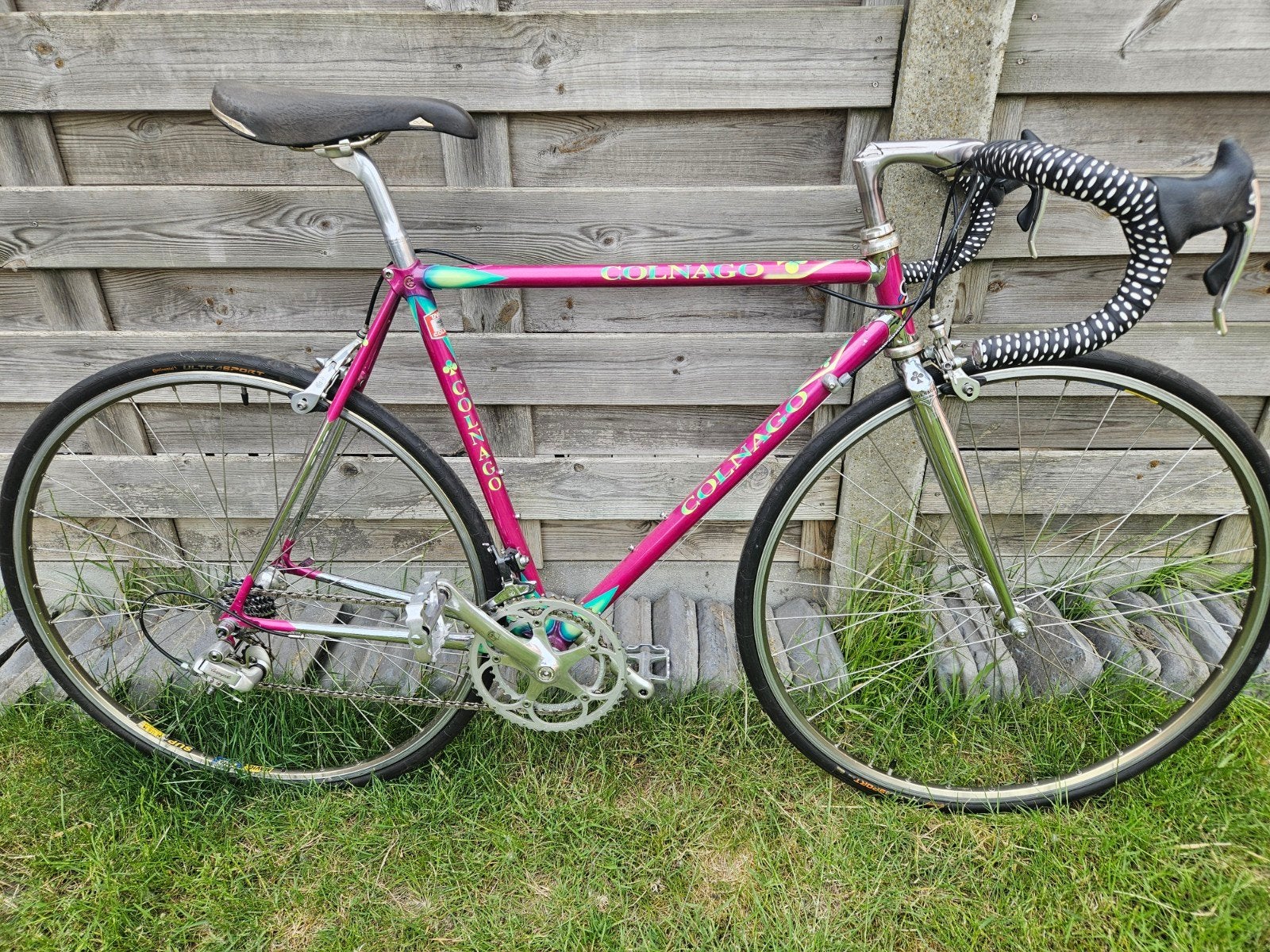 Colnago, Fietsen en Brommers, Ophalen, Gebruikt, Staal, Heren