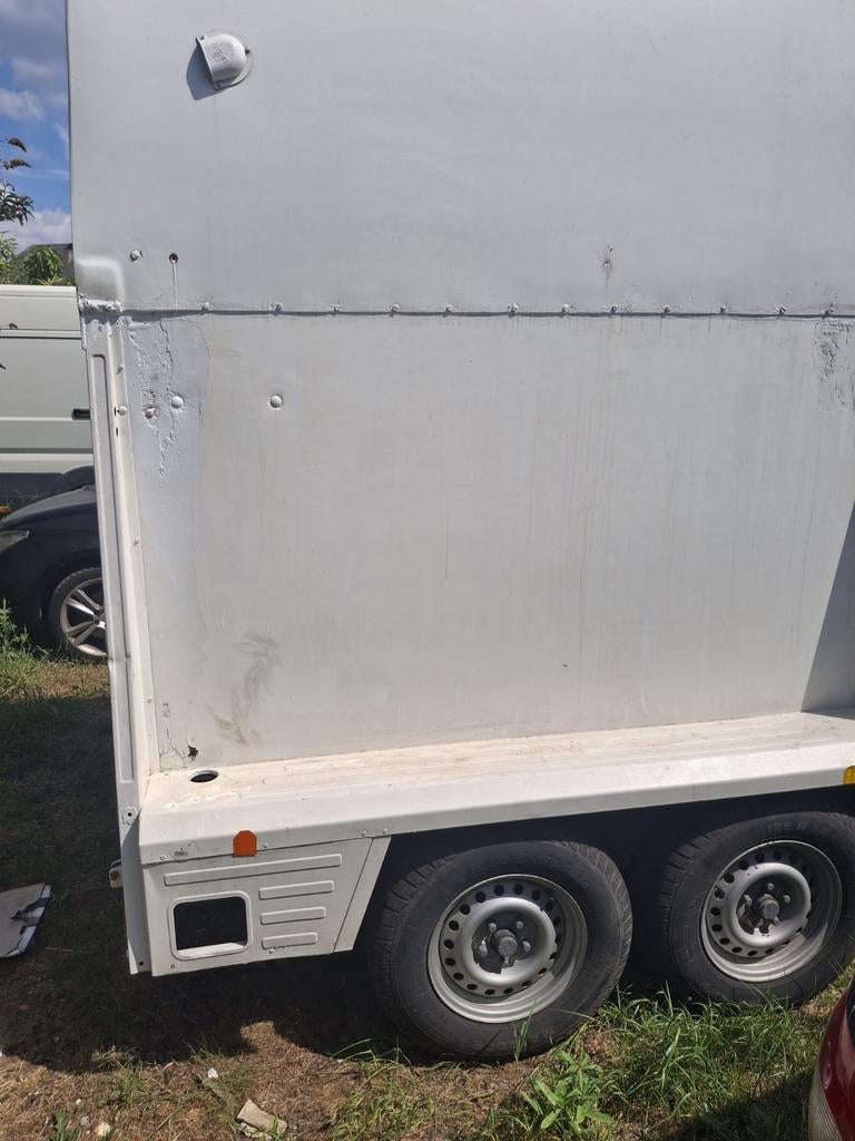 Paardentrailer  foodtruck, Ophalen of Verzenden