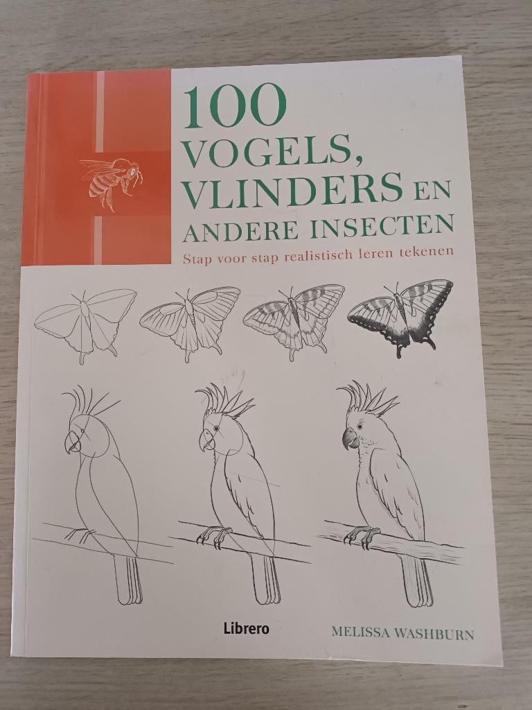 100 vogels, vlinders en insecten leren tekenen, Ophalen, Gebruikt, Boek of Gids