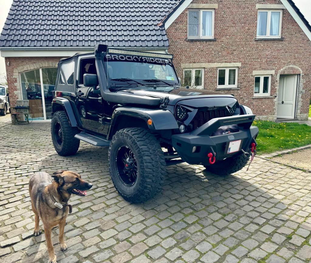 Jeep Wrangler Rocky Ridge utilitaire 2 pl avec 10000 km, Cuir, Achat, Euro 6, Entreprise